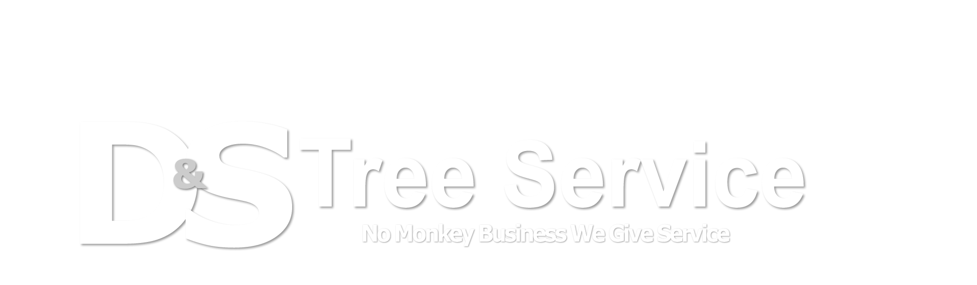 DS Tree Service Logo